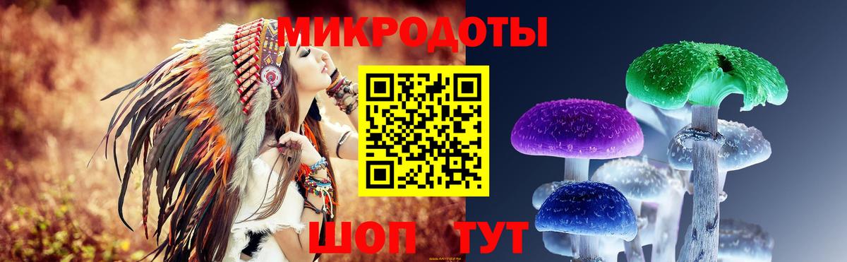 Галлюциногенные грибы Psilocybe  Вход с VPN  Казань  Галлюциногенные грибы прущие грибы 