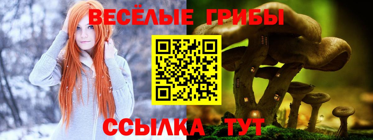 Псилоцибиновые грибы GOLDEN TEACHER Казань
